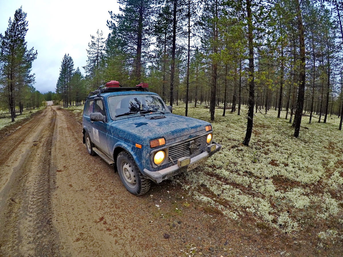 Кстати мох очень приятно хрустит под ногами:)