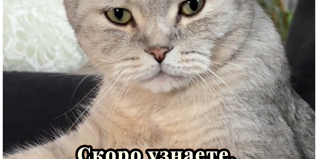 Ждём 😂😂😂