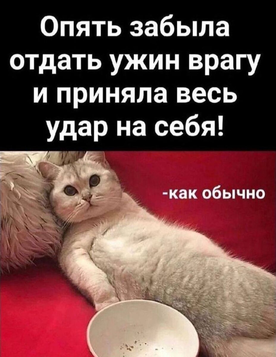 Заведите полезную привычку выходного дня