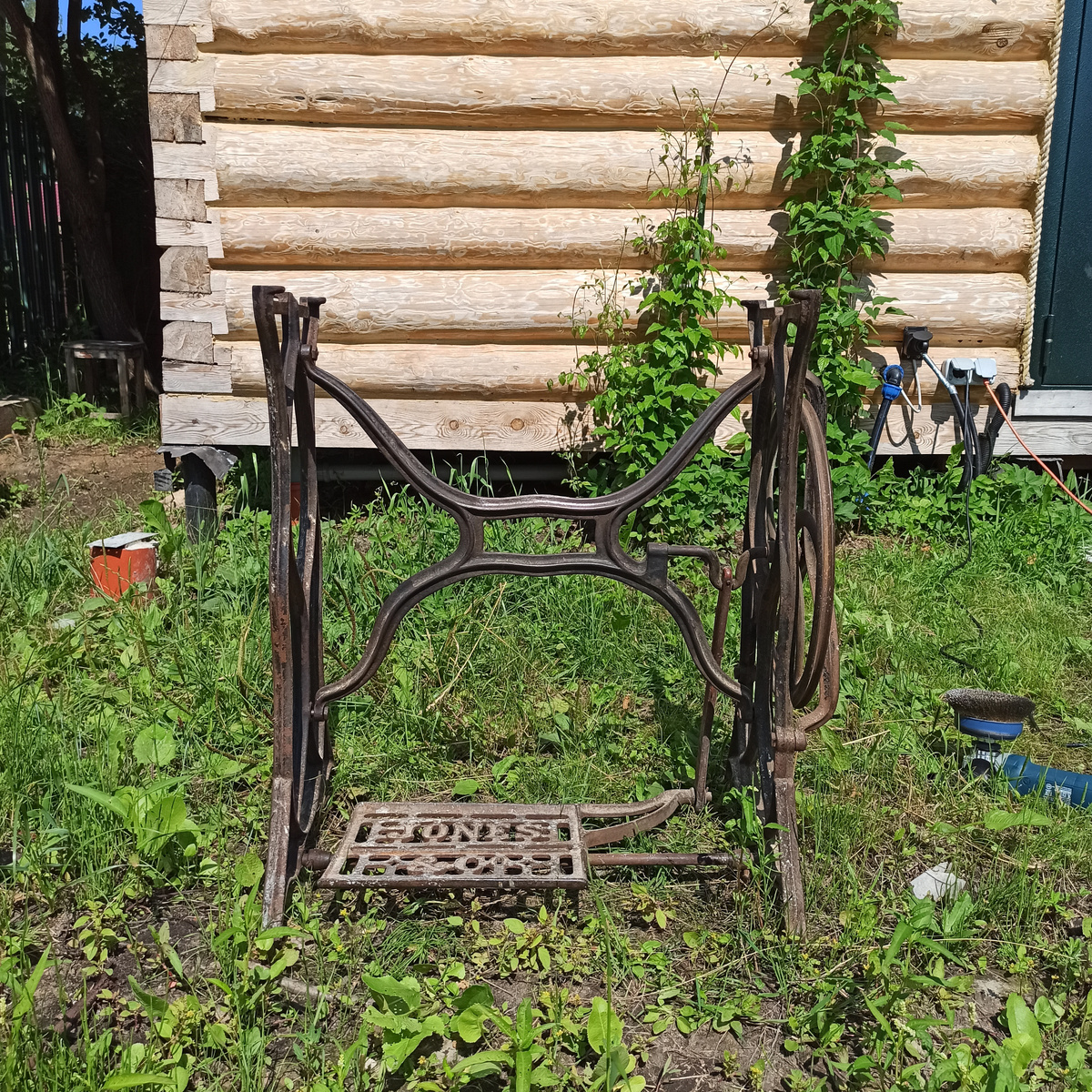 Вот она, красавица! Ну, пока ещё не красавица...