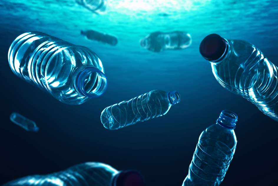 Источник изображения: https://msu.ru/news/novosti-nauki/uchenye-mgu-vyyasnili-chto-ozera-stradayut-ot-zagryazneniya-plastikom-silnee-okeana.html 