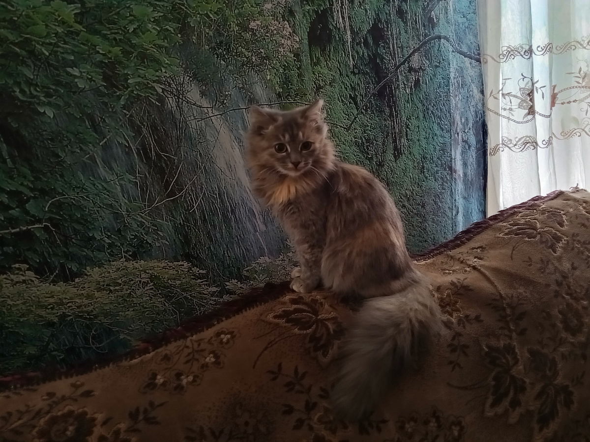 Масяня - мое место!