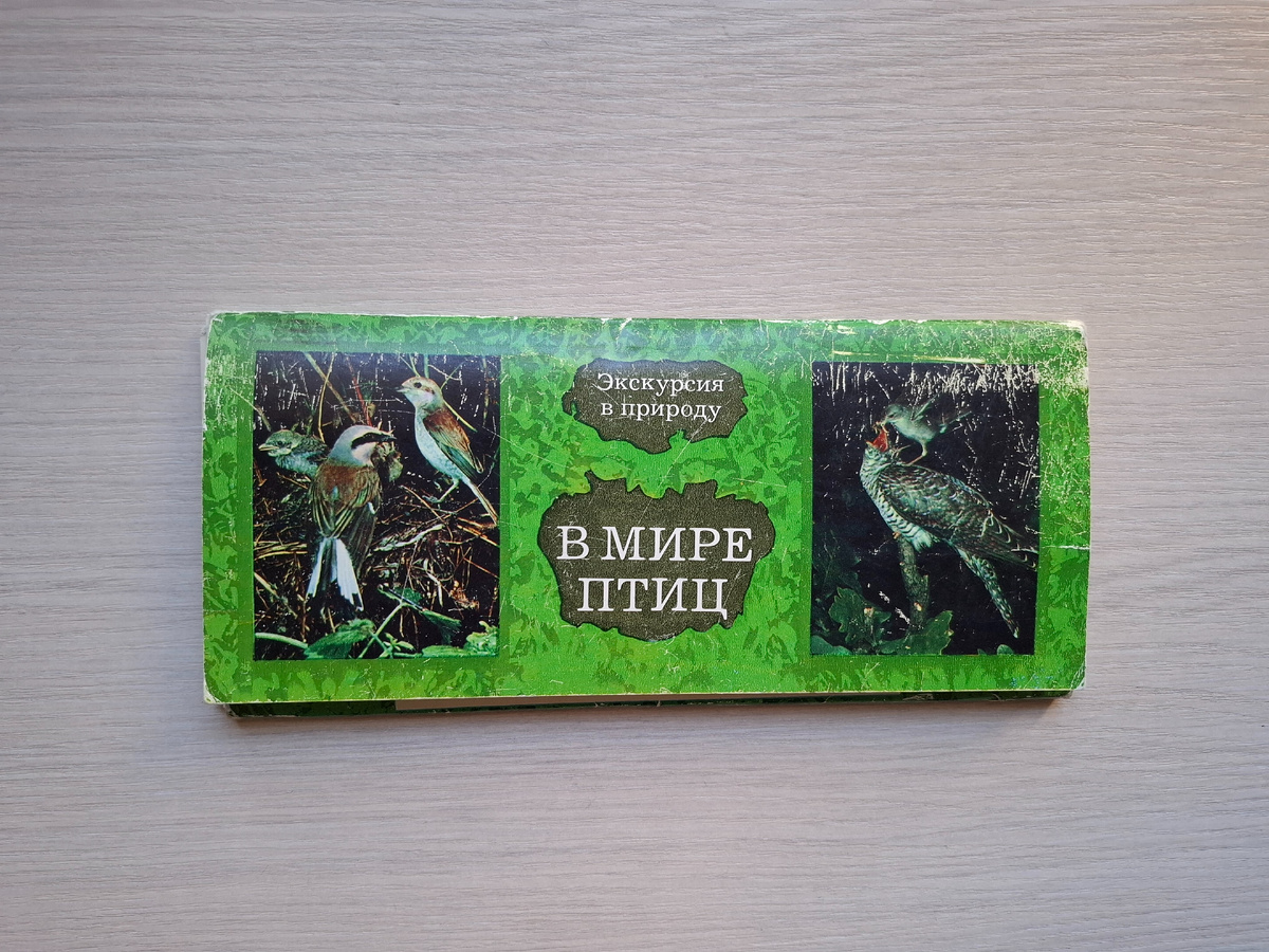 Фото автора