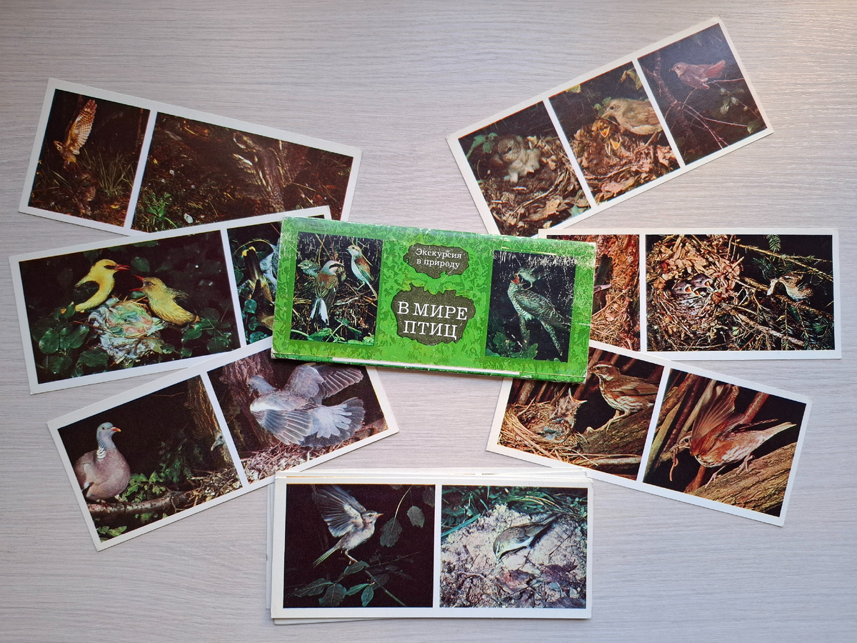 Фото автора