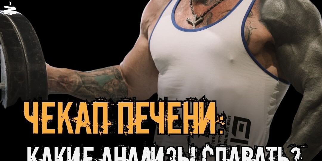 Чекап печени: какие анализы сдавать и как улучшить показатели