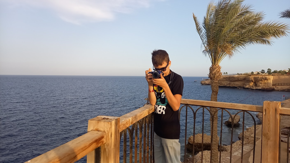 В Египте в 2024 году