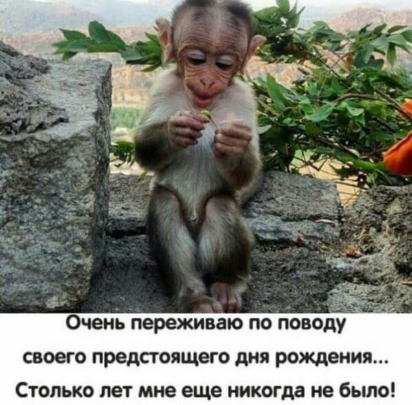 Правда жизни