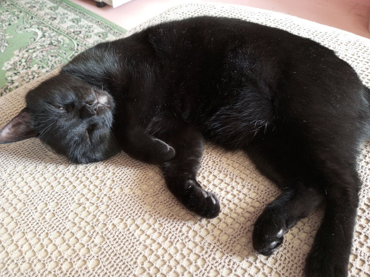  Дом,милый дом!..