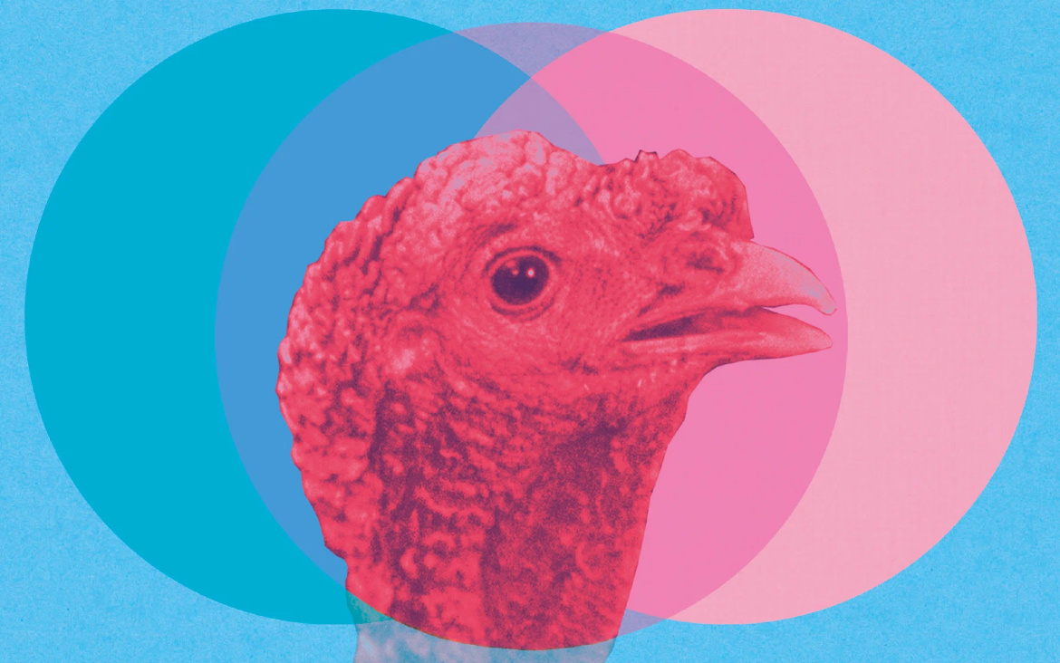 Постер: Кинопоиск 