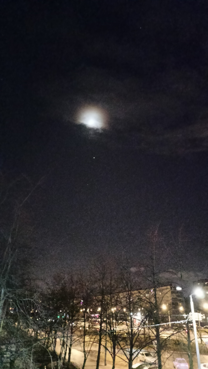 Фото автора. 23,15. СПб.