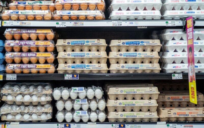 Стоимость куриных яиц в США. Фото: Социальные сети. Фотография взята из открытых источников.  📷
