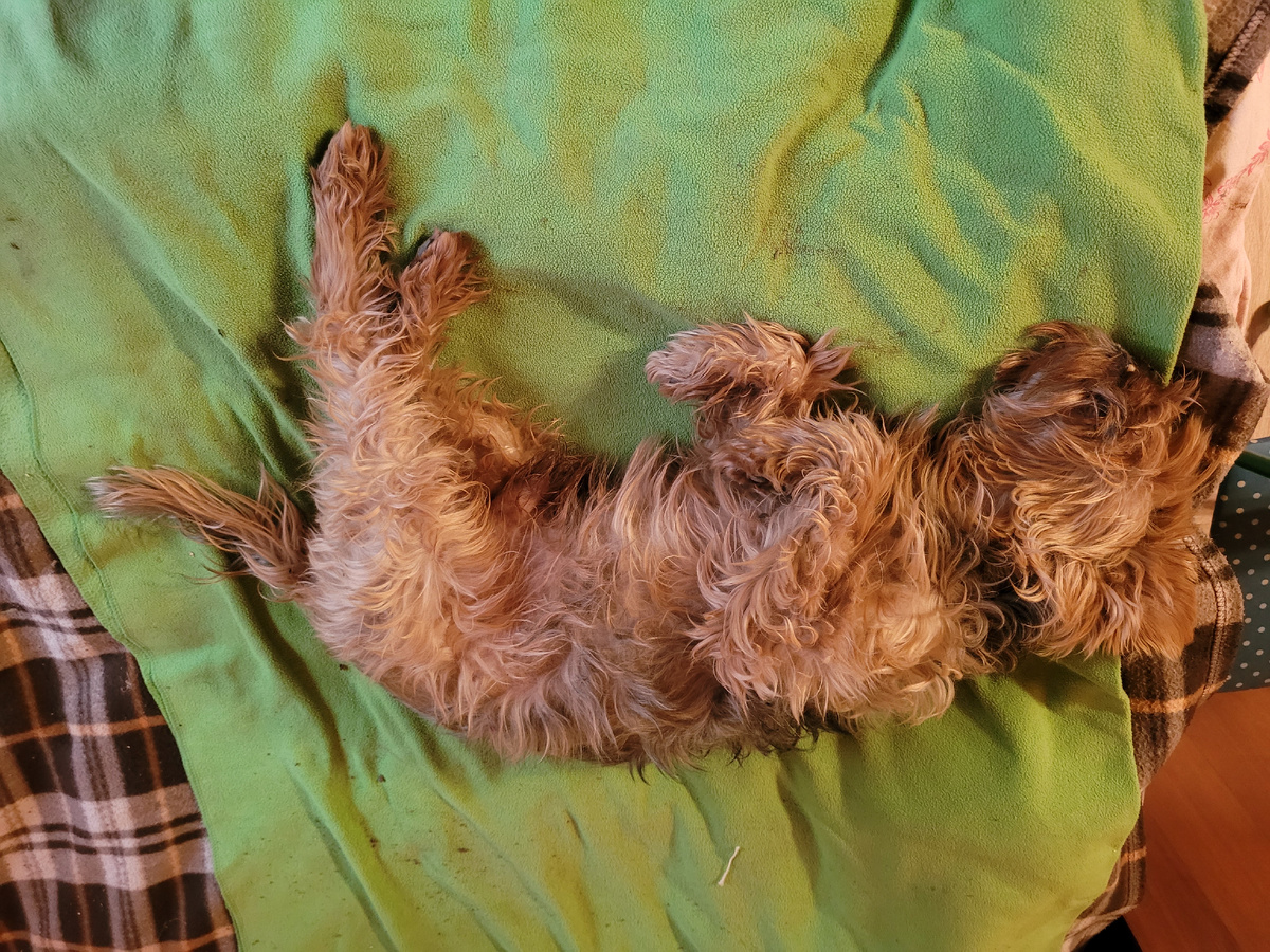 Ещё и лапки подогнул. 😂