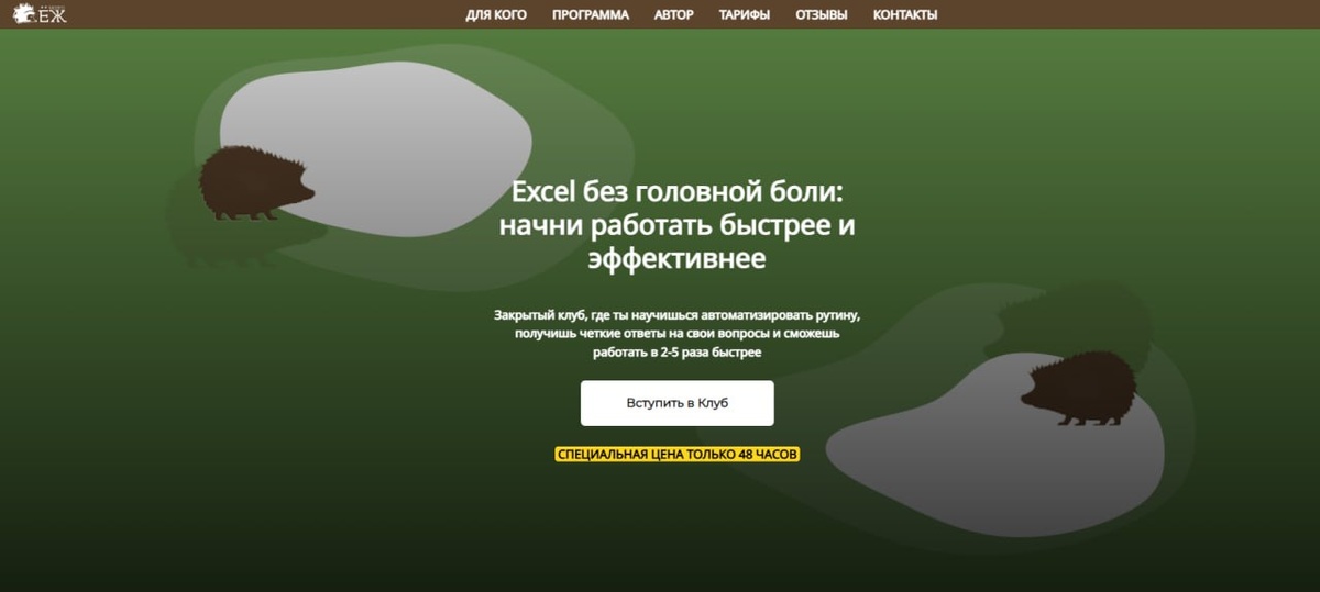 5 лет в Excel  и ни разу не познакомились с ВПР?  Ксениякондратьева. Онлайн-школа МозгоЁж 