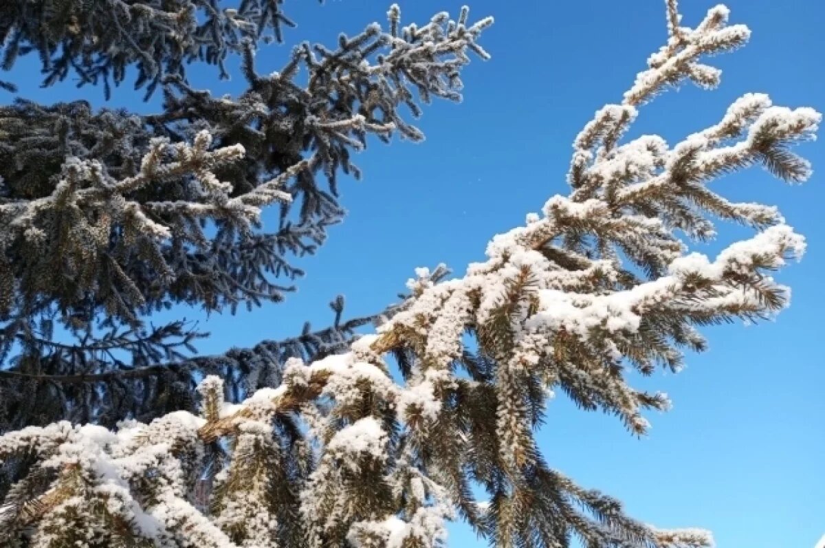    Новосибирцам рассказали о приметах в Маврикиев день 7 марта