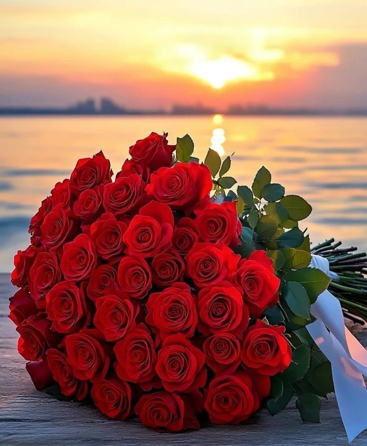 "Розы - это не только символ красоты, но и выражение любви без слов."