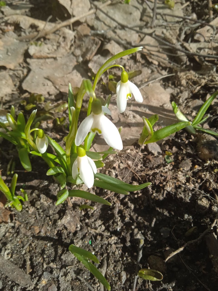 Депрессия - это остановка
