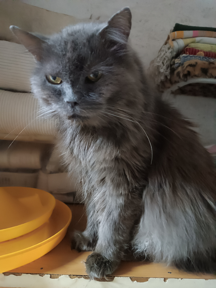 Жизнь продолжается.