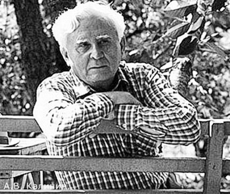 Писатель Анатолий Калинин. Фото из открытых источников