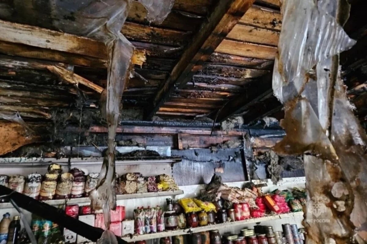    На Камчатке назвали причину пожара в торговом павильоне
