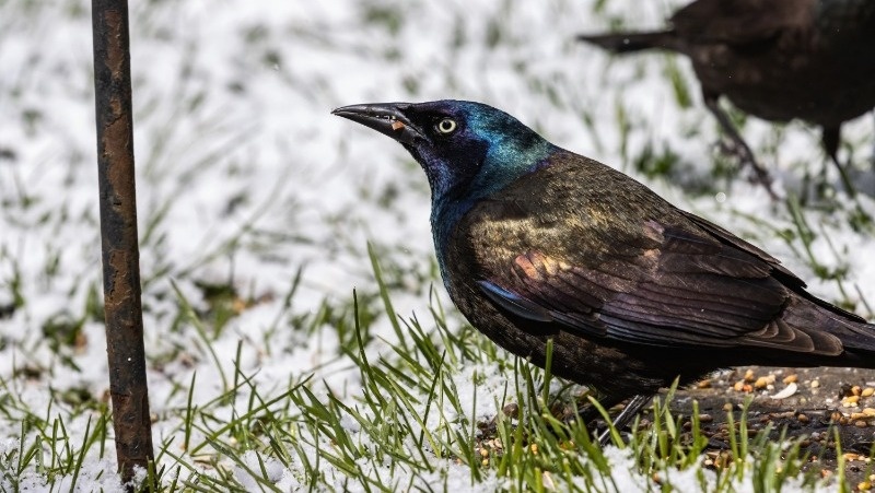 Фото: @wirestock / freepik.com