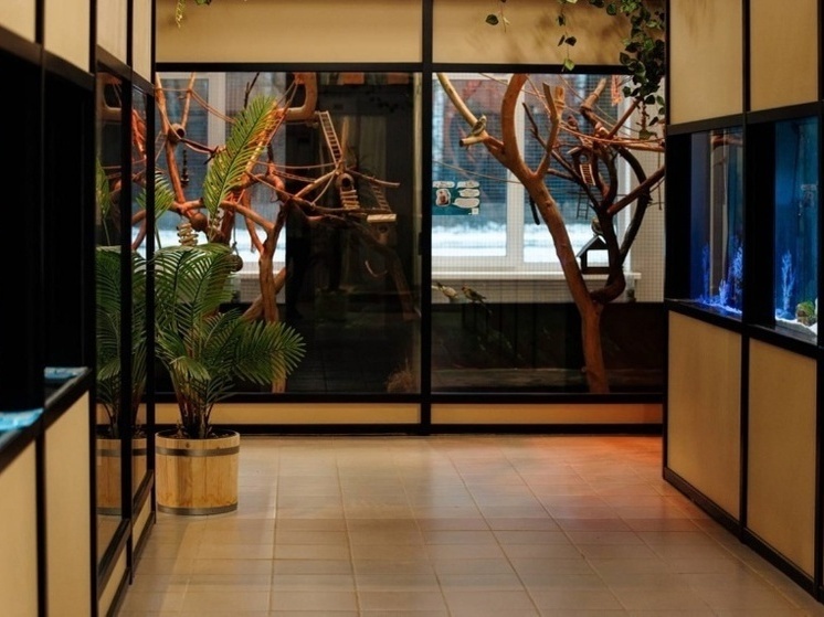     Фото: smoladmin.ru