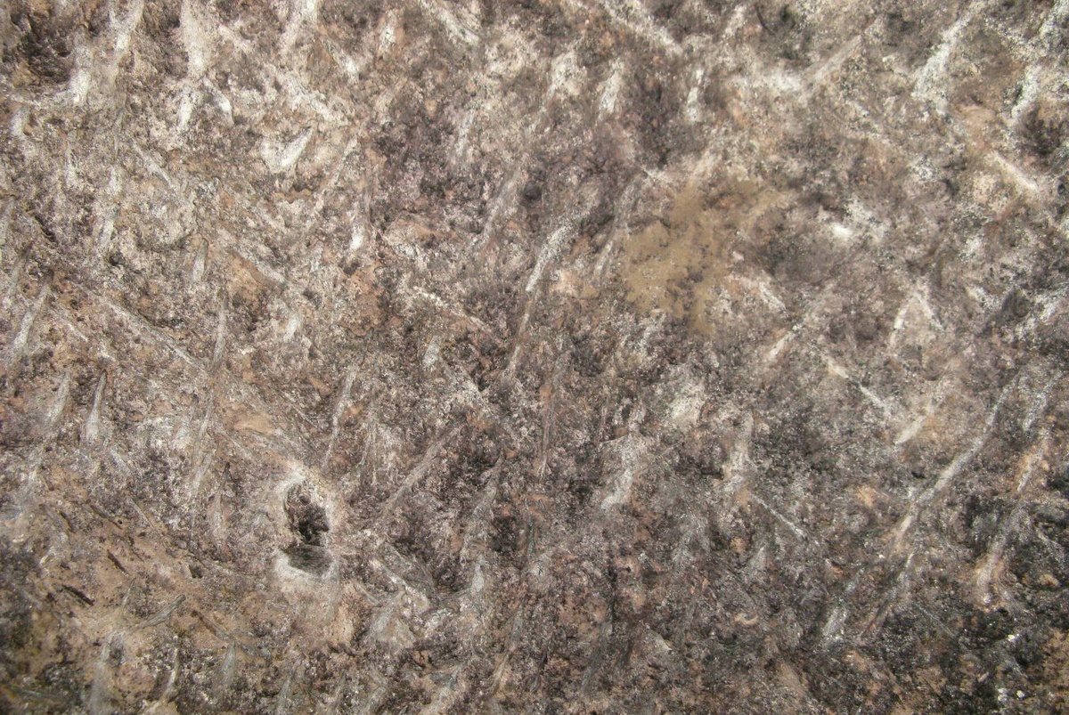 Следы от обработки. (Фото: images.vfl.ru).