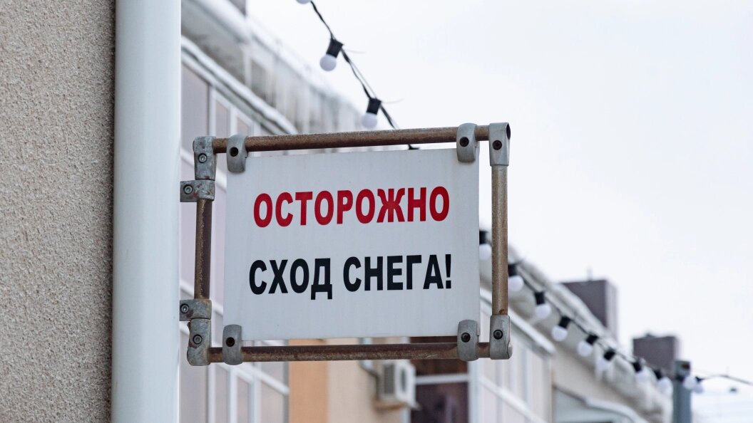    Фото: Oleg Spiridonov/Business Online/Globallookpress