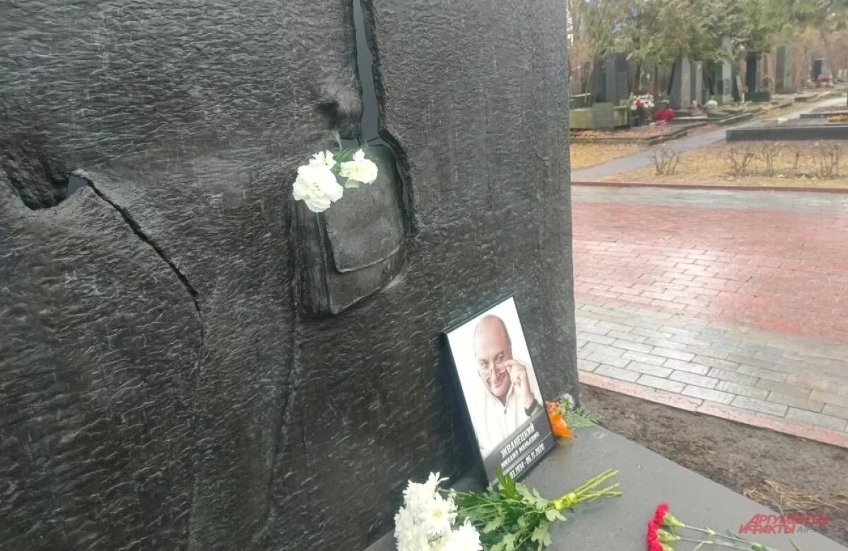    Цветок в чемодане.