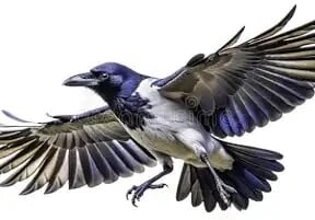 Фото из Википедии 