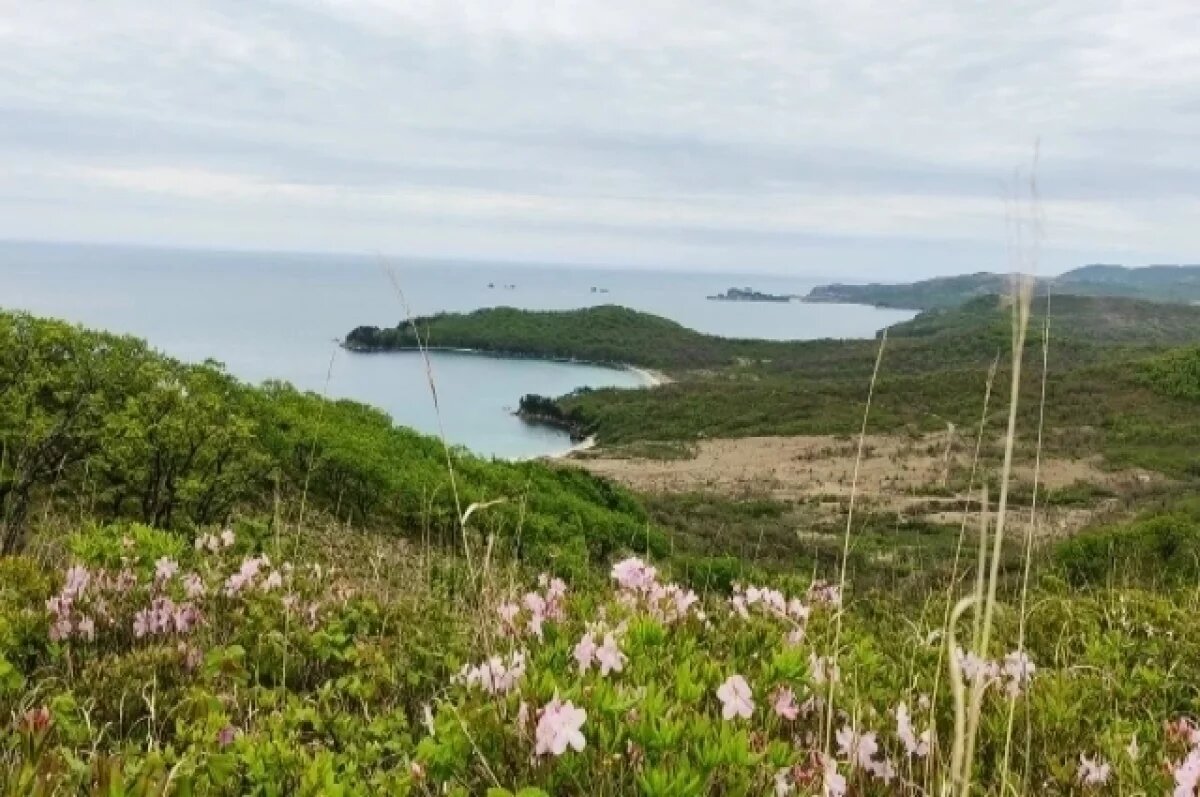    Сорвано строительство комплекса отдыха в Хасанском районе Приморья
