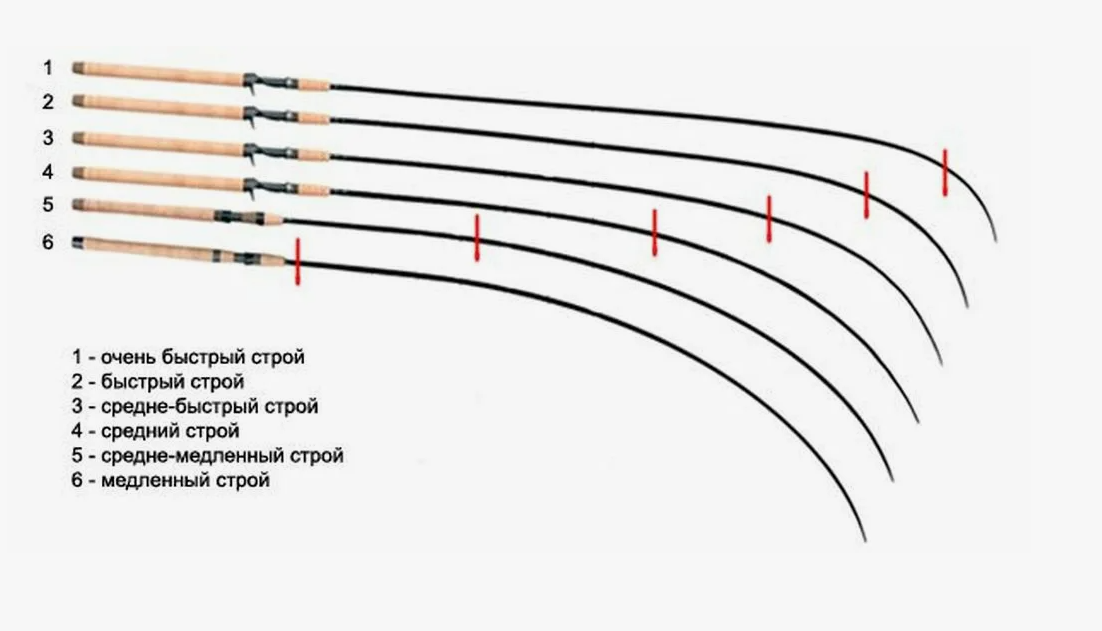 На картинке показано какого строя бывают спиннинги и чем они отличаются. Источник фото 
foto.gremlincom.ru