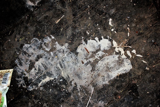 Фотографии Татьяны Немшановой. Отпечаток лап медведя на полу таёжного  дома.  Медведь разнёс избу, поел продукты. Съел муку. Белый мучной след - лапы выпачканы в муке! Западная Сибирь, Приполярный Урал, Зауралье, Тайга Севера ХМАО Югра. 