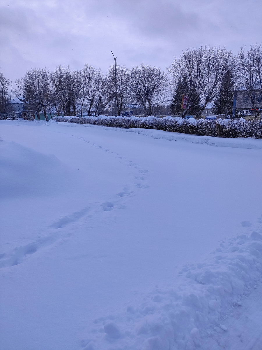 Утром встали, а на улице опять зима.