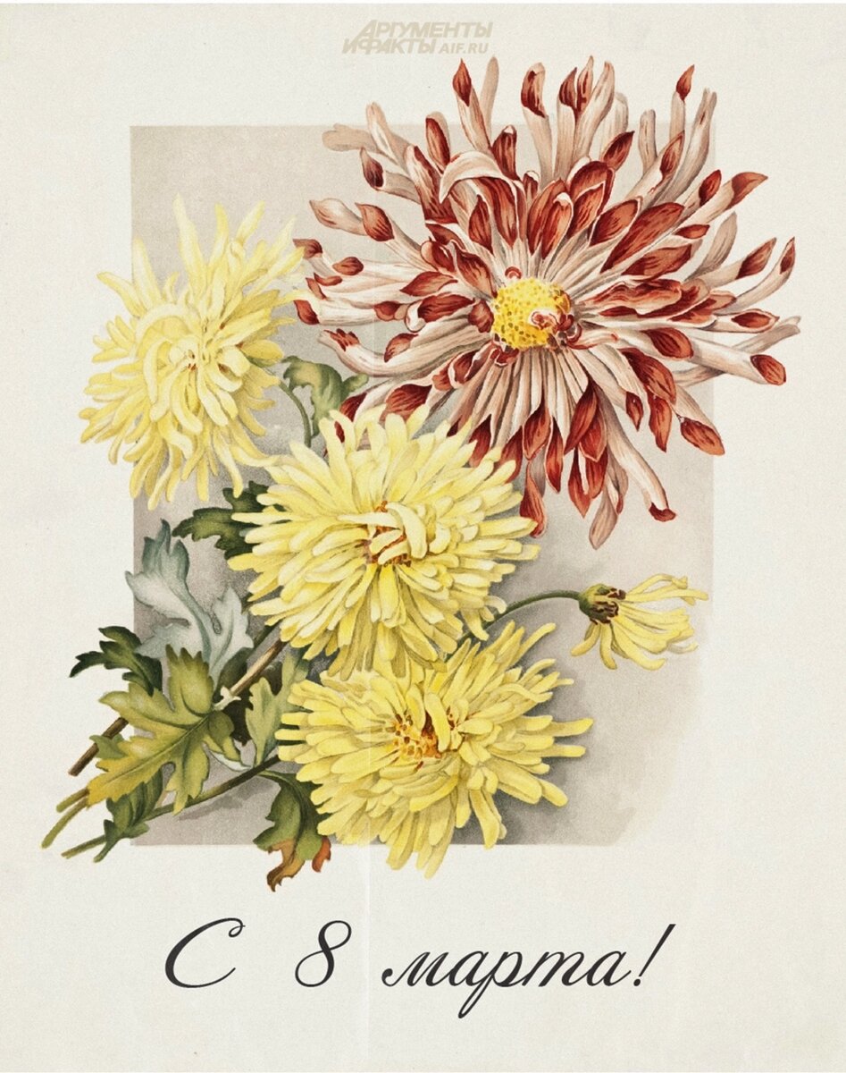    Фото:  АиФ/ Ксения Столетова