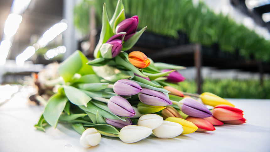    Фото: www.globallookpress.com/Ilya Moskovets