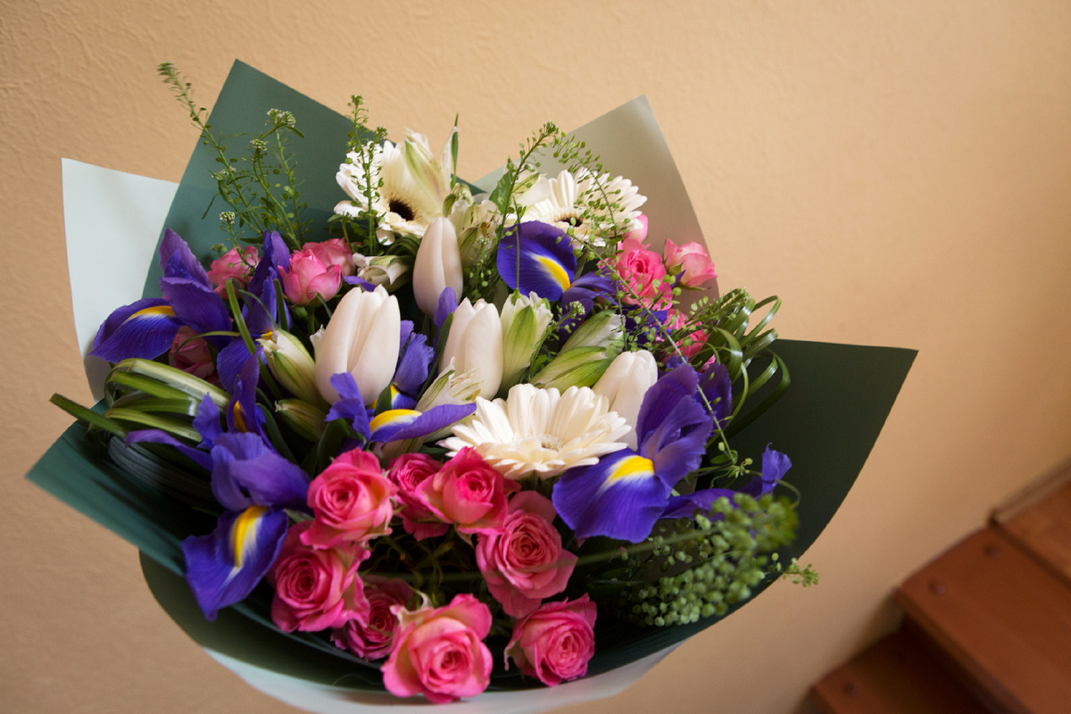 Фото: Nikolay Gyngazov, Николай/Global Look Press