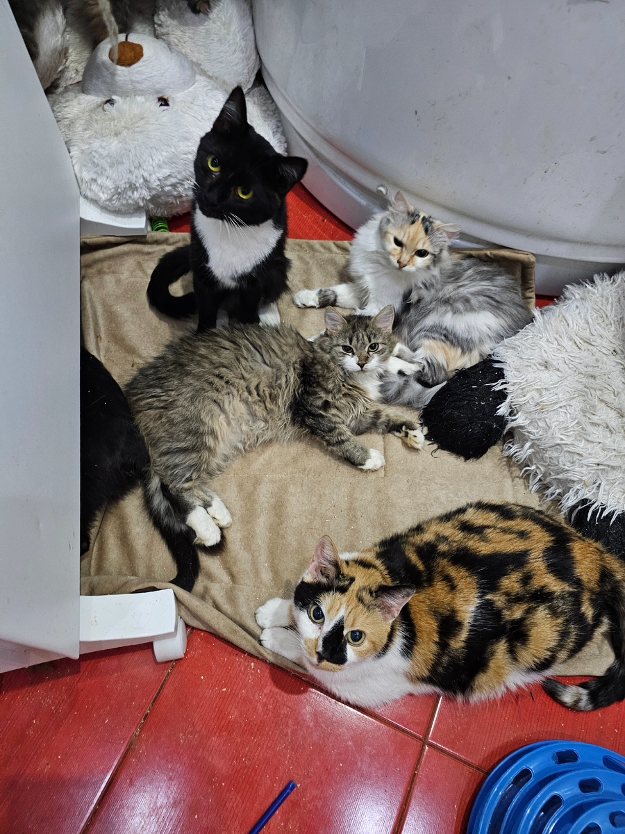 Фото автора. Ребята.