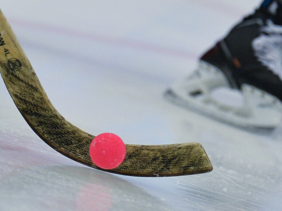    Хоккей с мячом© РИА Новости / Максим Богодвид