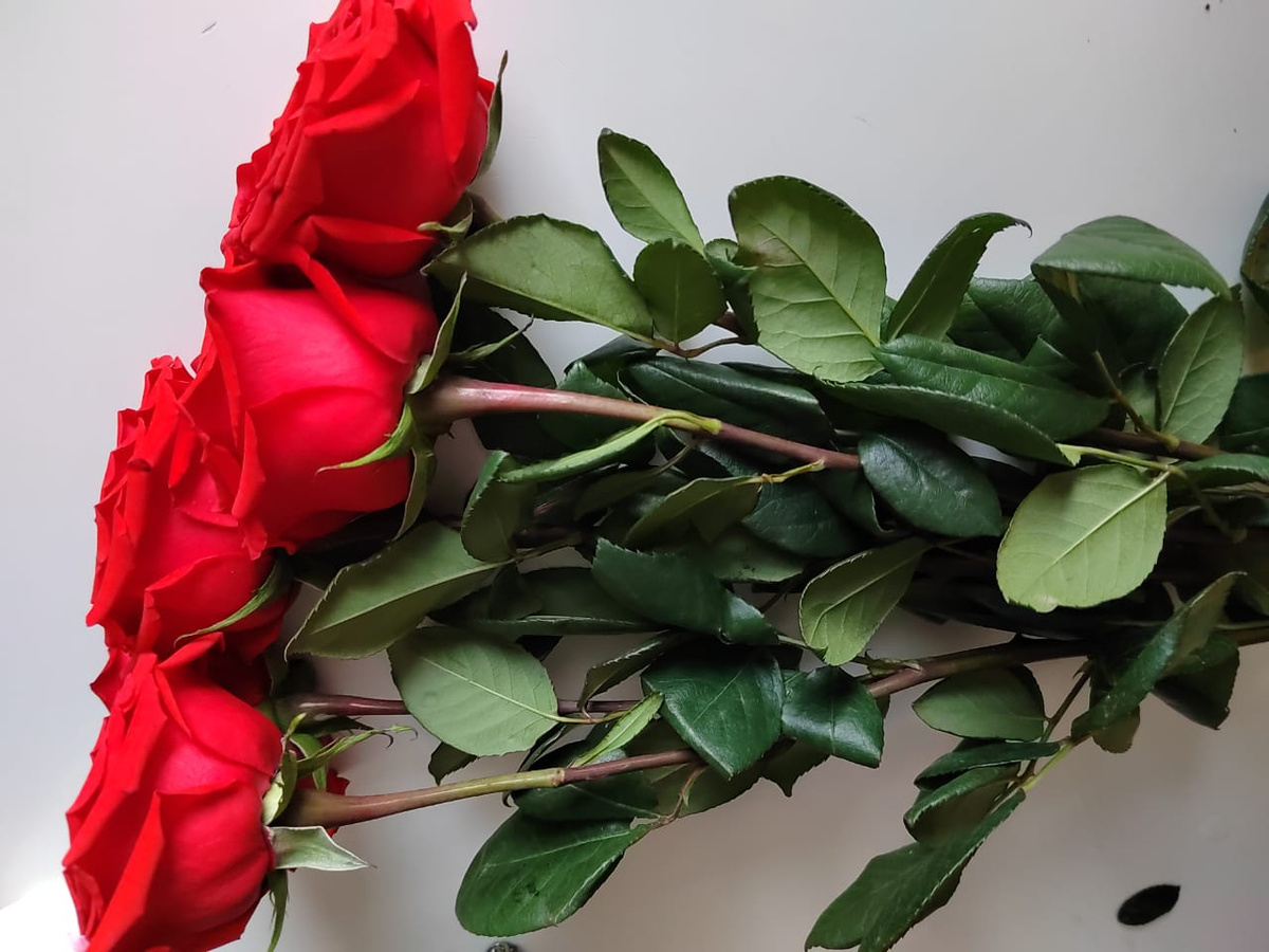 Фото автора канала. 