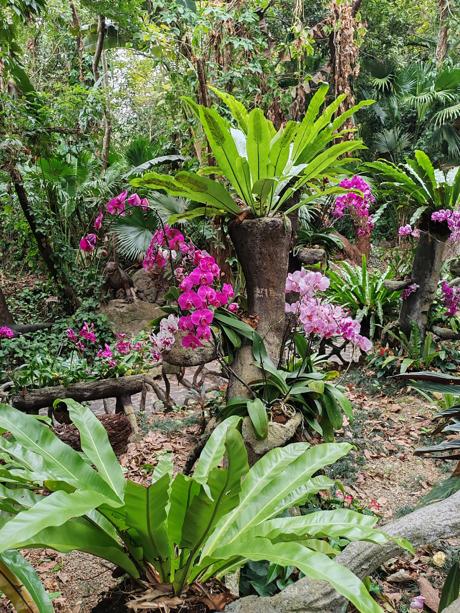 Цветы - непременный атрибут праздника