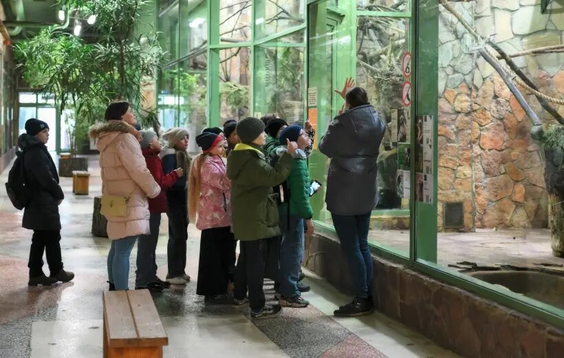  Поход в зоопарк или поездка на экоферму - возможность познакомить детей с животным миром   © РИА Новости. Алексей Даничев