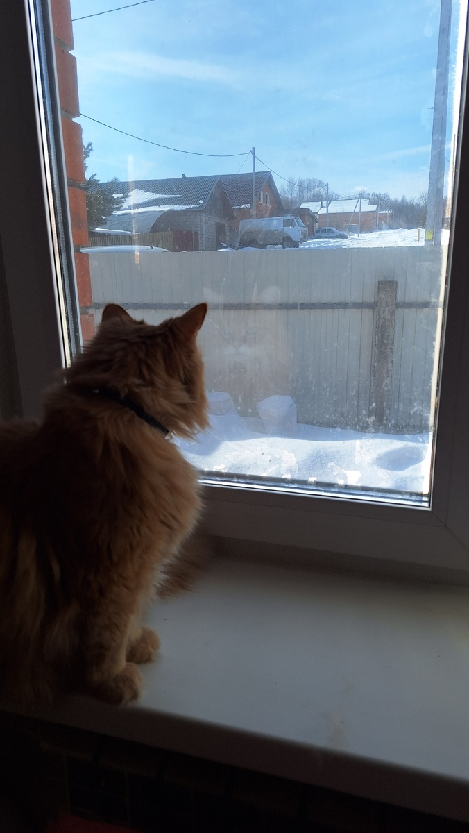 Фото автора. 