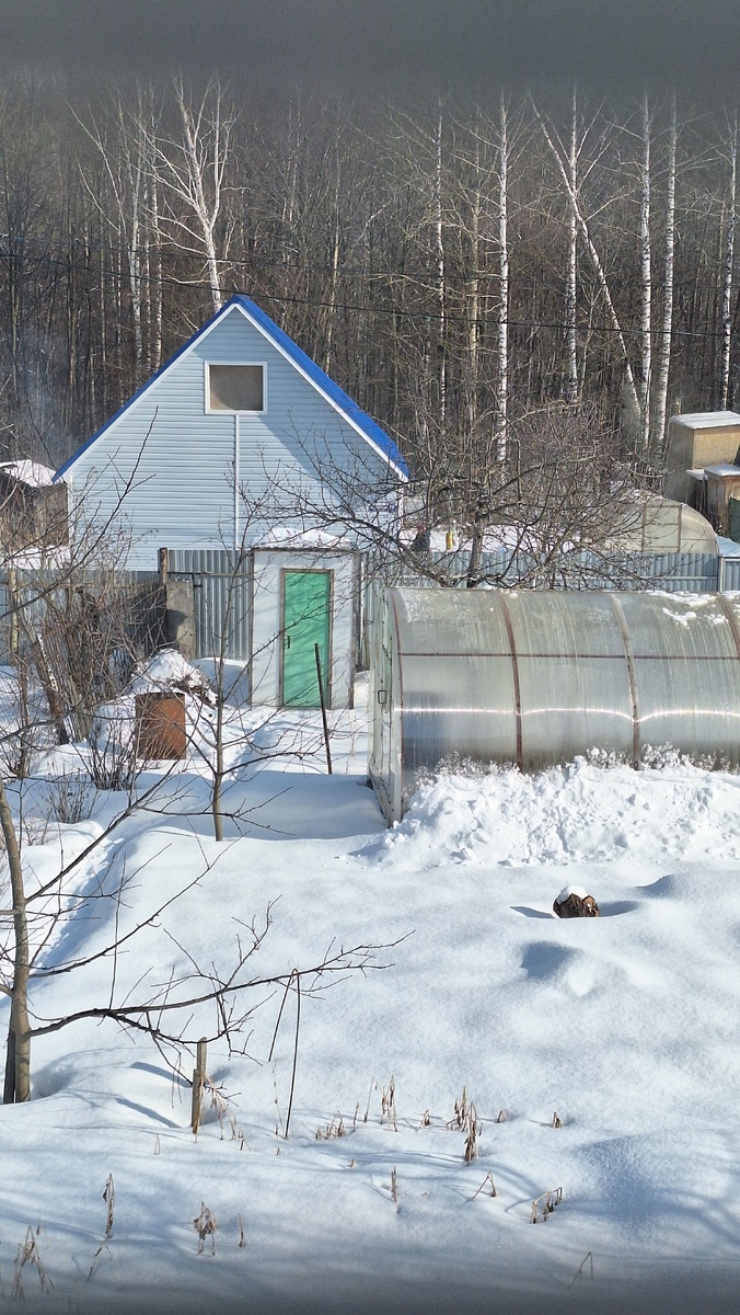 Фото автора. 