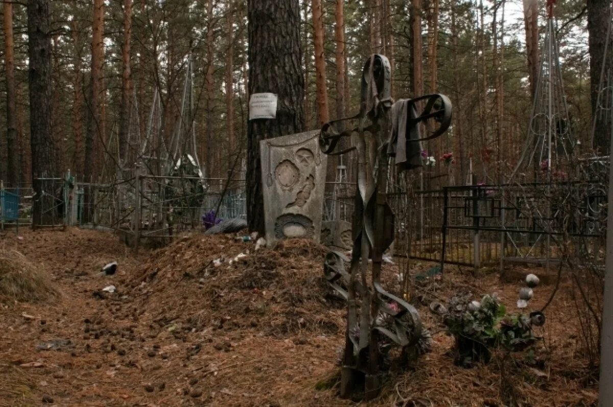    Меньше смертей взрослых от туберкулеза стало в 2024 году в Забайкалье