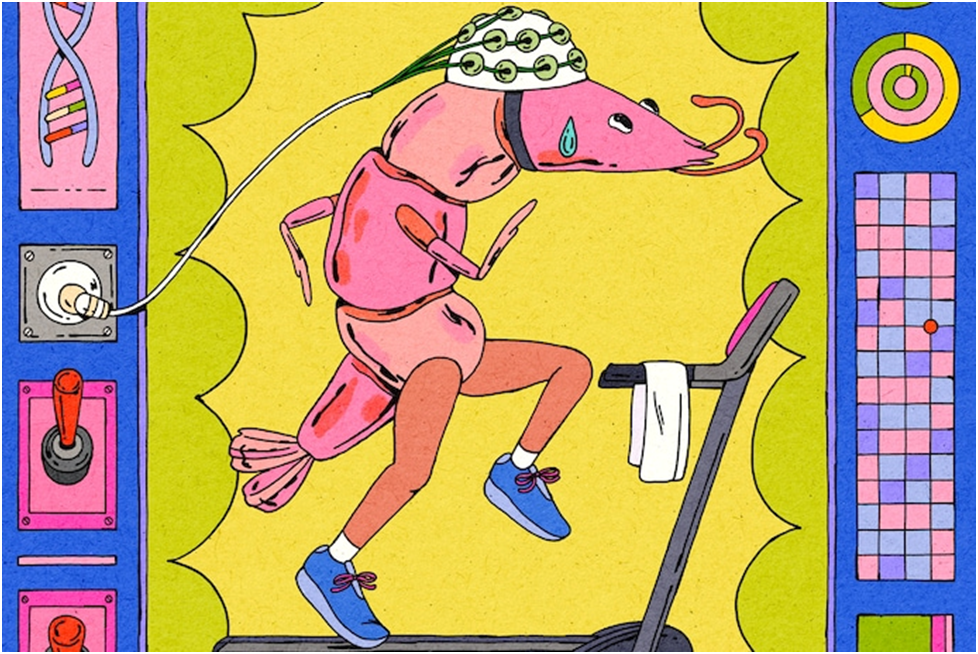 Вот вам шутка: почему ракообразное бежало по беговой дорожке?
Сбросить несколько фунтов!