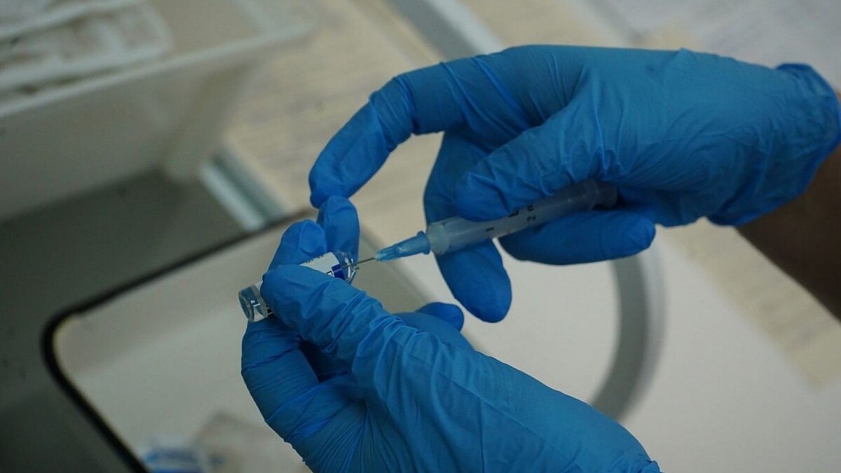    Фото: телеканал «Краснодар»