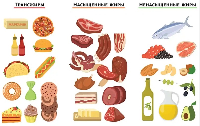 Ненасыщенные насыщенные трансжиры