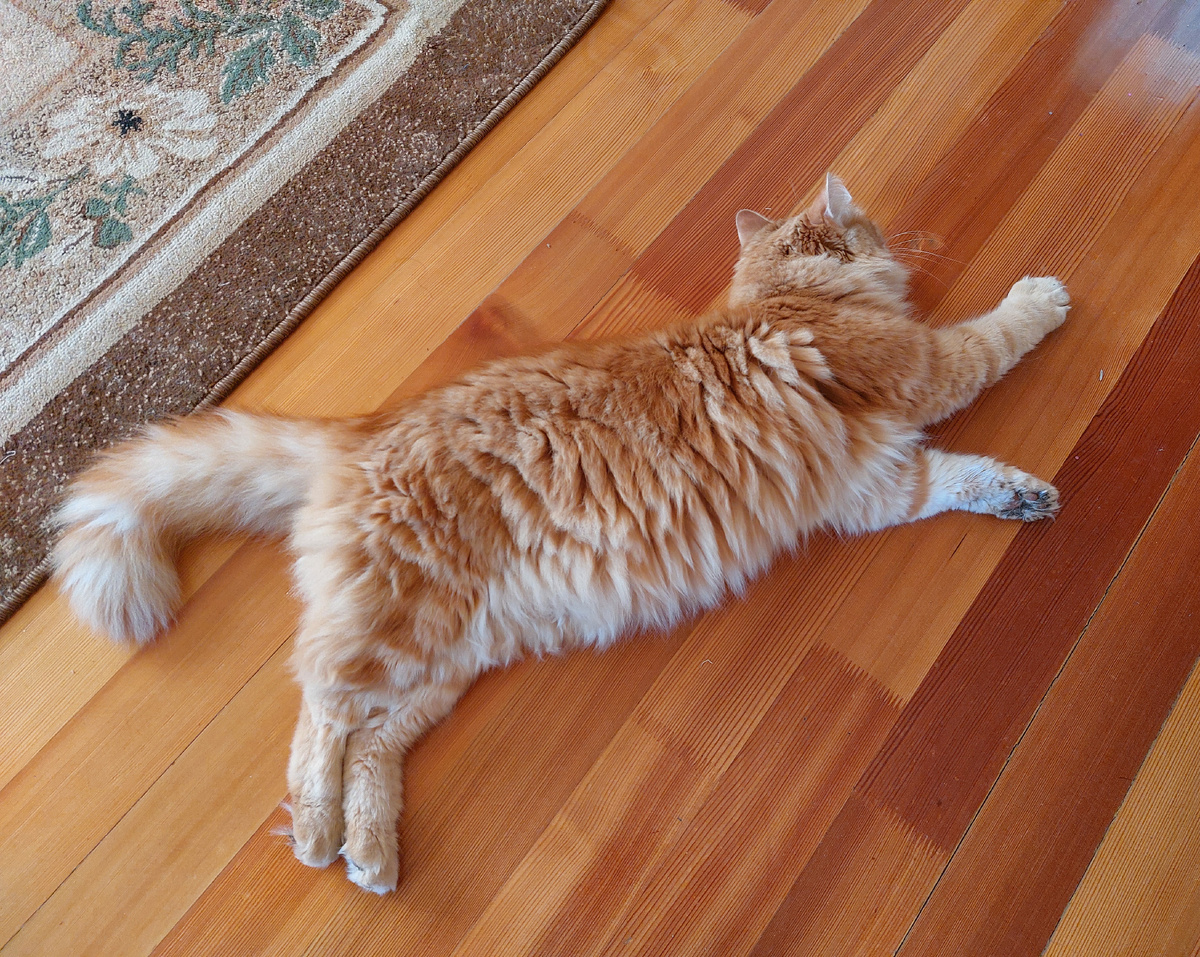 Фото автора