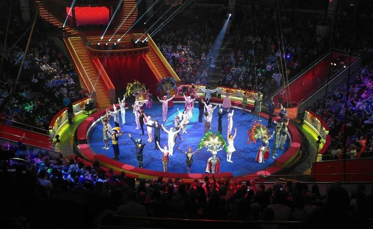 Цирк Никулина. Фото взято с сайта https://nikulina-cirkue.ru