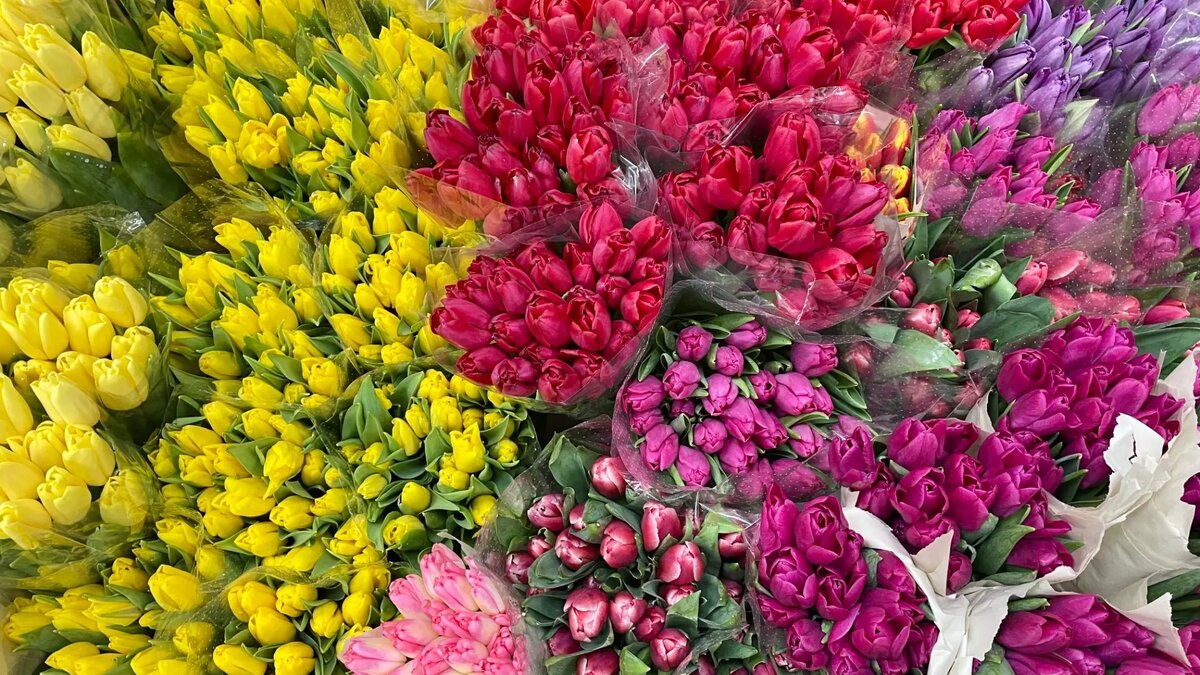     Источник: 1MI